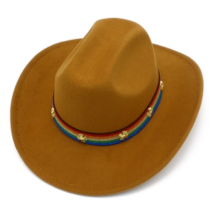 Détail d'un chapeau en laine marron avec ruban arc-en-ciel et clous dorés sur blanc