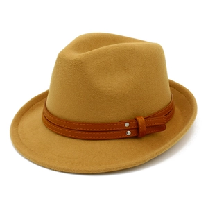 Close-up of vintage fedora hat wool felt texture and brown leather decorative band