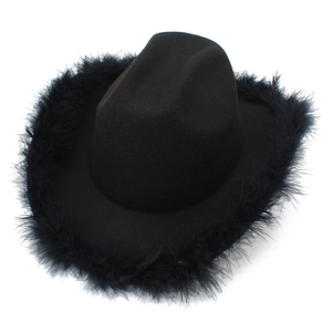 Detailed close-up of a black western cowboy hat featuring soft feather trim around the brim