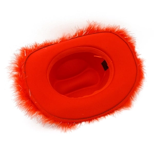 Detailed view of red party cowboy hat featuring vibrant feather trim and silver thread