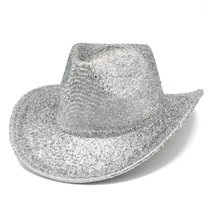 Macro shot showing high-density silver sequins and metallic texture on the cowboy hat