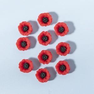 Lot de 10 breloques fleurs de pavot en résine rouge pour bijoux et accessoires DIY