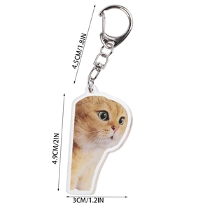 Detail view of ginger cat acrylic keychain with 4.9cm height dimensions and metal clasp