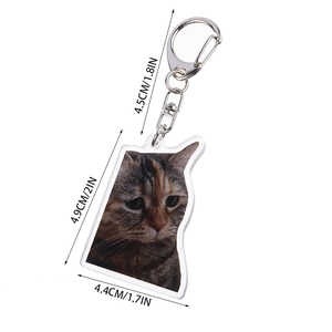 Detailed size chart of cat acrylic keychain showing 4.9cm height and 4.4cm width dimensions