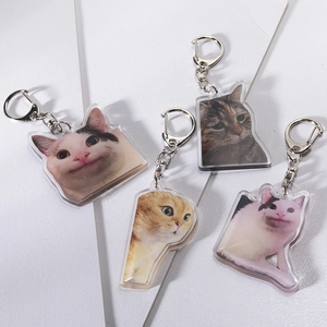 Set of four funny acrylic cat meme keychains with silver metal lobster clasps