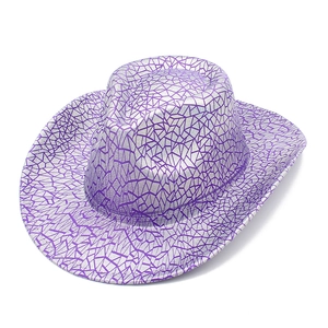 Close-up of metallic silver finish and purple crackle pattern on the cowboy hat brim