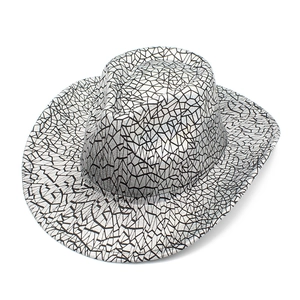 Close-up of the silver jazz hat featuring black cracked geometric patterns and curved brim