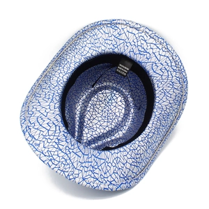 Detail view of western cowboy hat featuring silver base with blue crackle pattern design