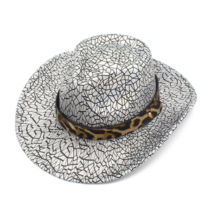 Detail of silver geometric textured cowboy hat with leopard print and golden rivets