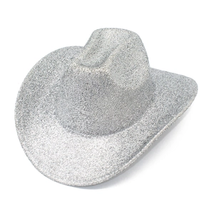 Macro detail of silver sequins and woven texture on a classic western cowboy hat