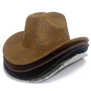 Set di quattro cappelli da cowboy stile western con motivi pitonati in vari colori su bianco