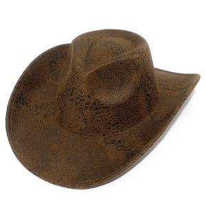 Vista dettagliata della trama in pelle di serpente marrone scuro su un cappello da cowboy
