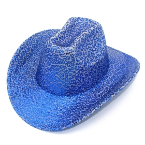 Vista detallada de lentejuelas azules brillantes en un sombrero de vaquero estilo western