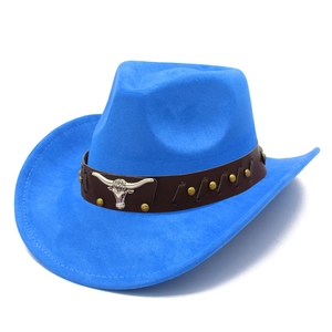Close-up of bright blue faux suede cowboy hat with brown leather band and silver bull emblem