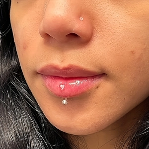 15pcs 16G clear flexible acrylic lip rings and nose studs shown on facial piercings