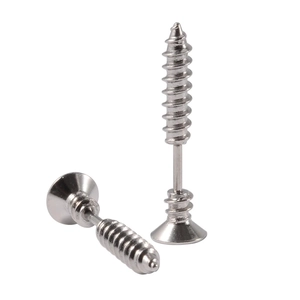 Detailed view of silver screw stud earrings with a polished stainless steel finish