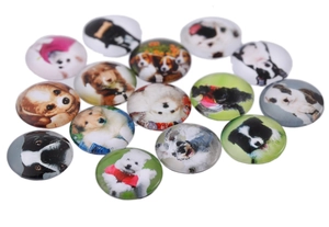 Detailed macro view of round glass cabochons with colorful printed dog portraits