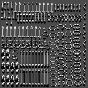 Detailed collection of assorted surgical steel body piercing jewelry in silver finish