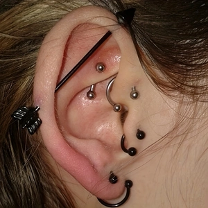 Nahaufnahme von Edelstahl-Piercing-Set mit Industrial-Stab und Ring am Ohr getragen