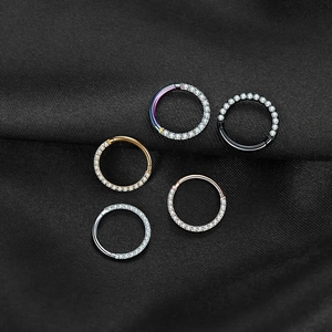 Edelstahl Segmentring Mit Scharnier Und Klarem Zirkonia Nasenring Knorpel Helix Ohrring Lippen Piercing Schmuck Für Unisex