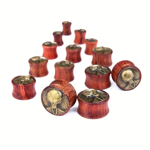 Brown wooden ear plugs featuring vintage bronze alien head metal engraving in a pair