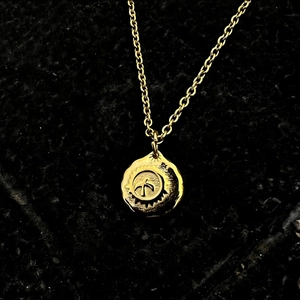 Goldene Titanstahl-Halskette mit einem runden Medaillon-Anhänger auf schwarzem Grund