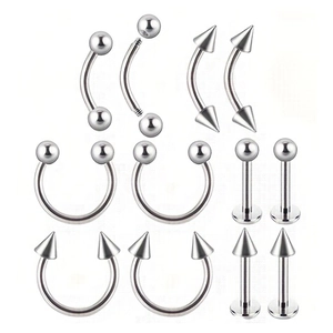 Dettaglio del set da 12 pezzi di gioielli per piercing in acciaio inox multi-stile