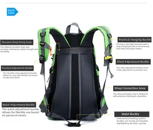 Detail view showing breathable padded back panel and adjustable strap system for hiking pack