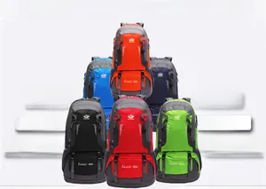 Detailed view of 60L outdoor hiking backpacks in six vibrant colors on white background