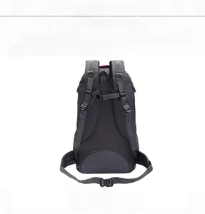 Detailed back view of a 60L hiking backpack showing ergonomic air mesh padding