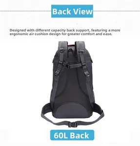Detailed back view of 60L hiking backpack showing ergonomic breathable mesh padding