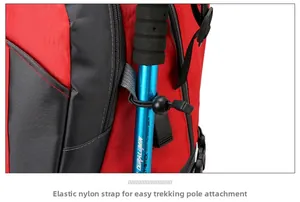 Detail view of elastic bungee cord system on a waterproof hiking backpack for trekking poles