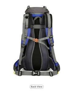 Ergonomic back view of a hiking backpack with breathable mesh padding and straps