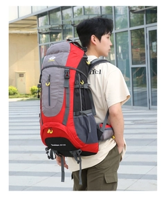 Rear view of 65+5L hiking backpack with padded waist support on a male model