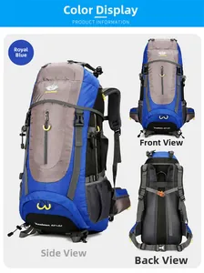 Detailed view of royal blue 65+5L hiking backpack with professional suspension system