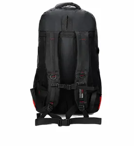 Detailed back view of outdoor backpack showing padded straps and support buckles