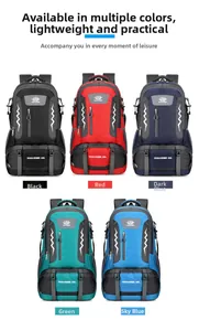 Detailed 60L outdoor backpacks shown in five colors with water-resistant nylon material