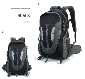 Detail view of the ergonomic breathable mesh back padding and waist straps on hiking backpack