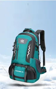 Detail of 60L hiking backpack showing breathable padded back system and ergonomic straps