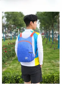 Wasserdichter Outdoor-Faltrucksack in Blau und Orange in einer Parkumgebung gezeigt