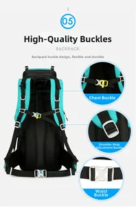 Detail of the ergonomic back system and adjustable buckles on a 60L hiking backpack