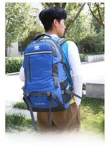 Rear view of blue 60L hiking backpack with ergonomic straps and honeycomb ripstop fabric