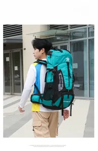 Detailed back view of a 60L blue hiking backpack with reinforced waist support and straps