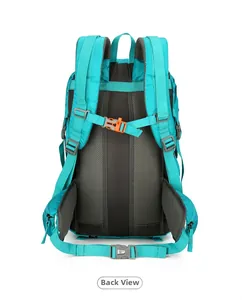 Back view of the hiking backpack showing breathable mesh padding and orange safety whistle