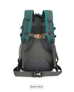 Detail view of ergonomic breathable mesh back padding and adjustable straps on green hiking pack