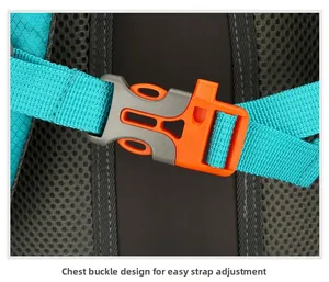Detail of teal nylon webbing with orange and grey chest buckle for strap securing