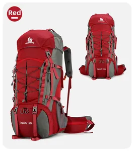 Detail view of the 60L outdoor hiking backpack with ergonomic back support and side mesh pockets