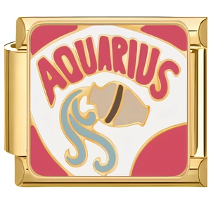 Detail of gold Aquarius zodiac charm link with colorful enamel for Italian bracelets