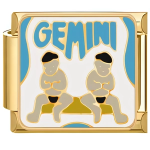 Macro shot of a golden stainless steel Gemini zodiac charm with enamel for modular bracelets