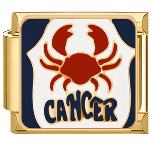 Detail of gold Cancer zodiac charm link with red crab and enamel for modular bracelet